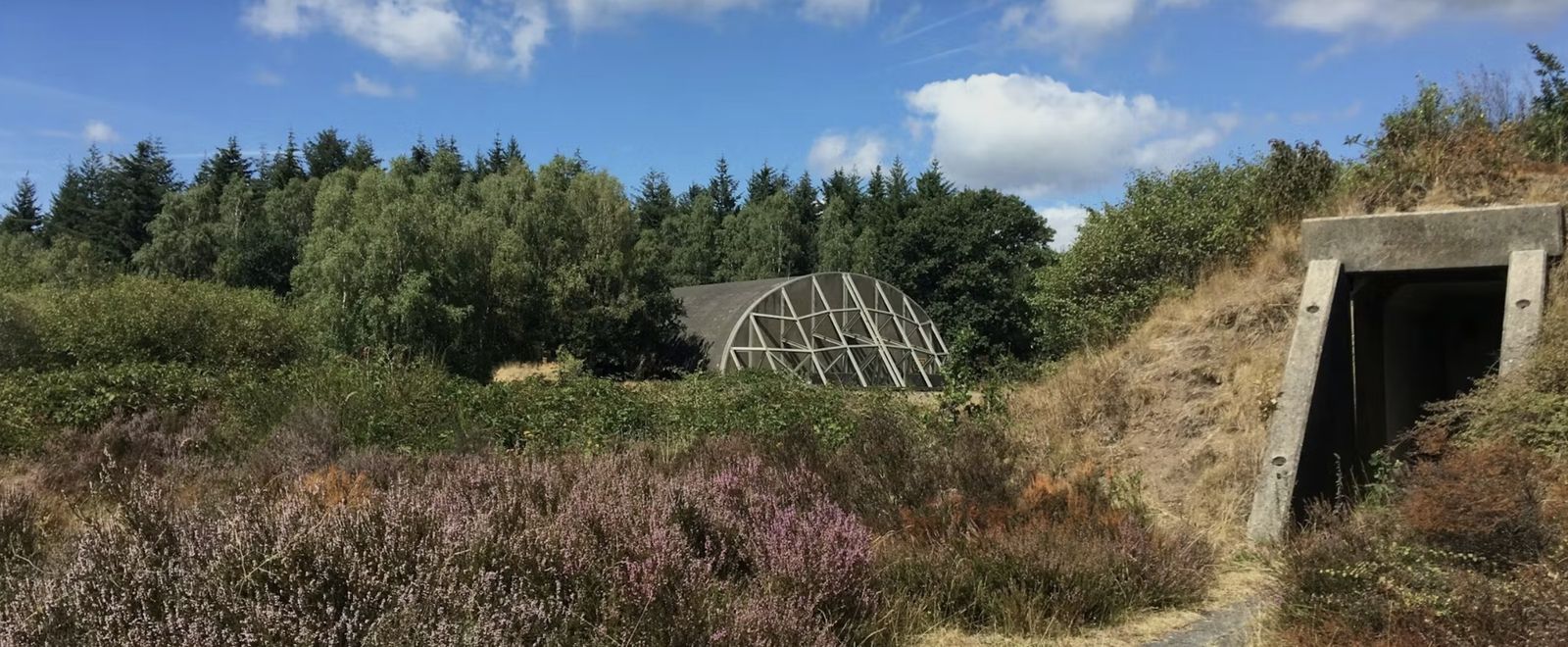 Heide en bos in de omgeving van Soesterberg, vlak bij Soluna Studio